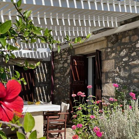 Villa La Familia Maison Traditionnelle Плакиас Екстериор снимка