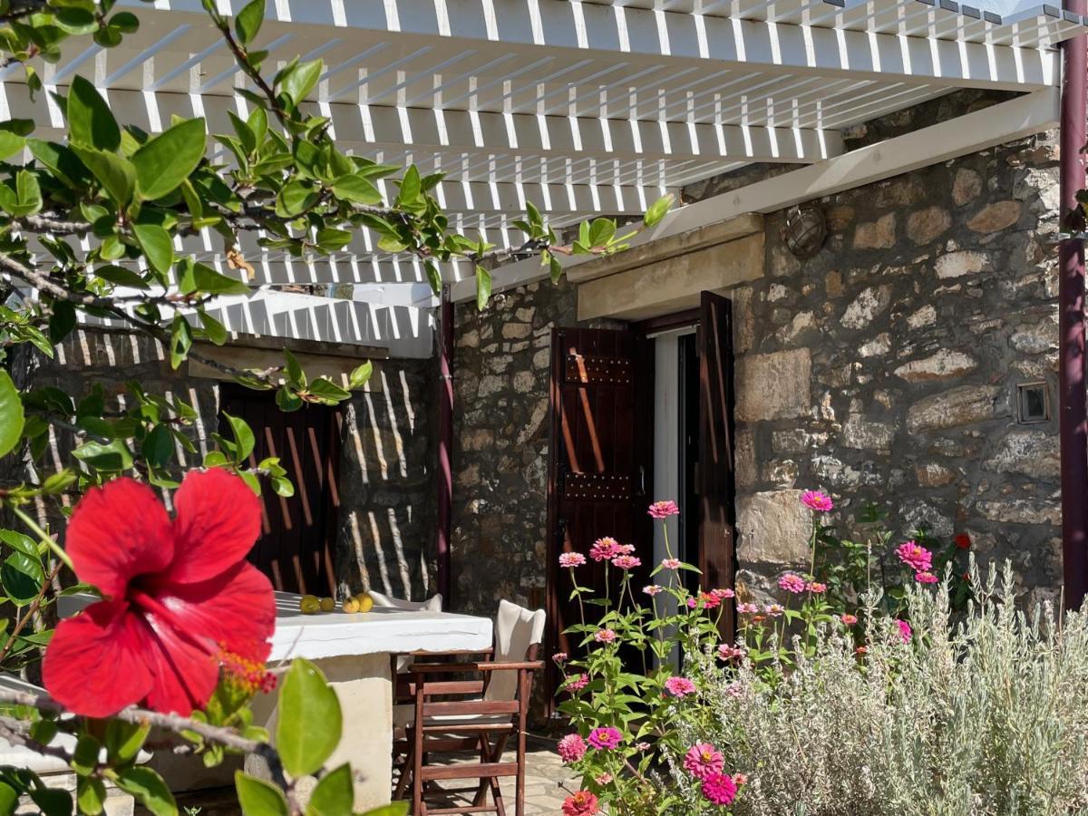 Villa La Familia Maison Traditionnelle Плакиас Екстериор снимка